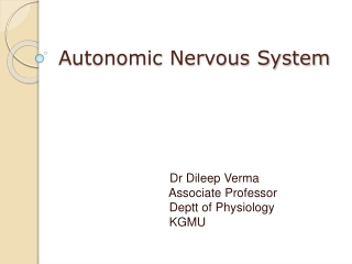 Autonomic Nervous System