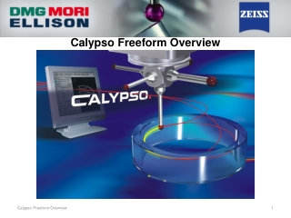 Calypso Freeform Overview