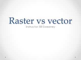 Raster vs vector