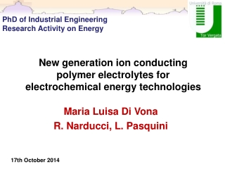 New generation ion conducting polymer electrolytes for electrochemical energy technologies