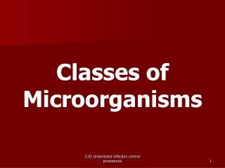 Classes of Microorganisms