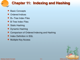 Chapter 11:  Indexing and Hashing