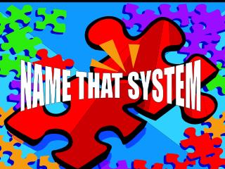 NAME THAT SYSTEM