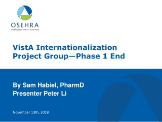 VistA Internationalization Project Group—Phase 1 End