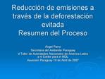 Reducci n de emisiones a trav s de la deforestaci n evitada Resumen del Proceso