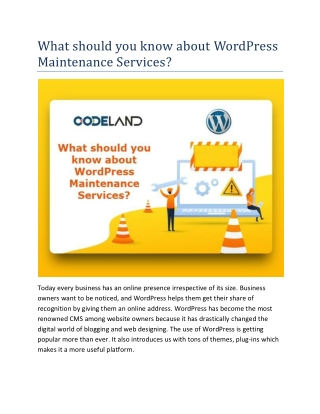 What should you know about WordPress Maintenance Services?