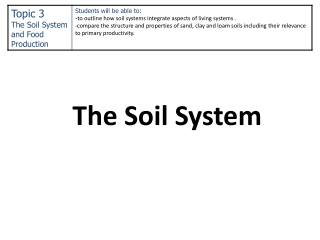 The Soil System