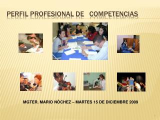 PERFIL PROFESIONAL DE COMPETENCIAS