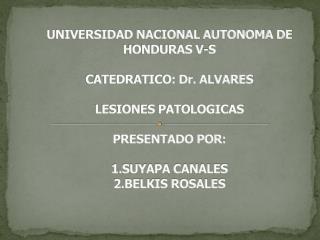 UNIVERSIDAD NACIONAL AUTONOMA DE HONDURAS V-S CATEDRATICO: Dr. ALVARES LESIONES PATOLOGICAS PRESENTADO POR: 1.SUYAPA CAN