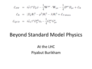 Beyond Standard Model Physics