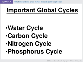 Important Global Cycles