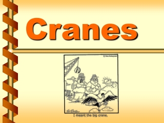 Cranes