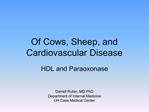 Of Cows, Sheep, and Cardiovascular Disease