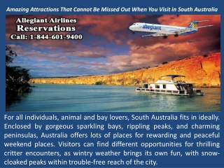 Amazing Attractions That Cannot Be Missed Out When You Visit in South Australia