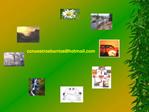 Presentaci
