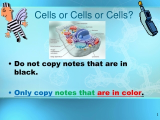Cells or Cells or Cells?