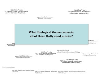 Hollywood Movie Slide