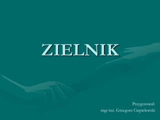 ZIELNIK