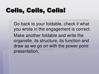 Cells, Cells, Cells!
