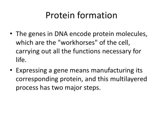 Protein formation