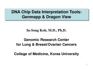 DNA Chip Data Interpretation Tools: Genmapp & Dragon View