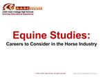 Equine Studies: Careers to Consider in the Horse Industry