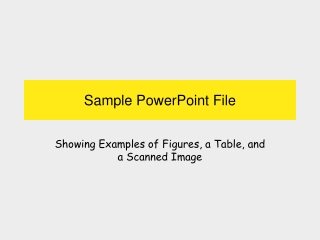 Sample PowerPoint File