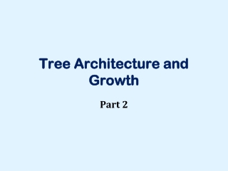 Tree Architecture and Growth