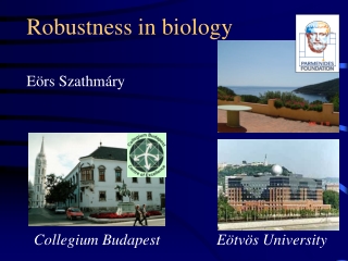 Robustness in biology