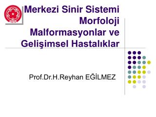 Merkezi Sinir Sistemi Morfoloji Malformasyonlar ve Gelişimsel Hastalıklar