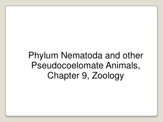 Phylum Nematoda and other Pseudocoelomate Animals, Chapter 9, Zoology