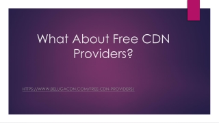 Free CDN Providers | BelugaCDN