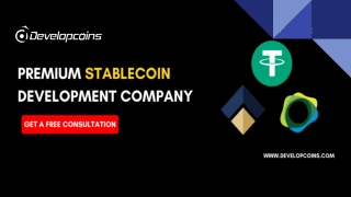 Premium Stablecoin Development Company