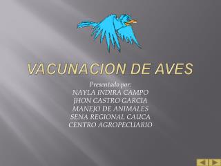 VACUNACION DE AVES