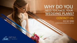 Why Do You Need to Cancel Your Wedding Plans - Pittsburgh Car Service