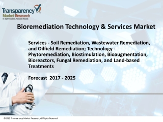 Bioremediation Technology & Services Market to be Worth US$ 65.7 Bn by 2025