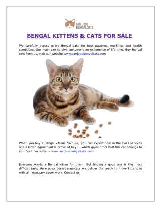 BENGAL KITTENS & CATS FOR SALE