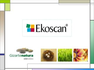 ¿Qué es Ekoscan?