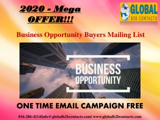 Business Opportunity Buyers Mailing List