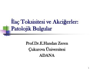 İlaç Toksisitesi ve Akciğerler: Patolojik Bulgular