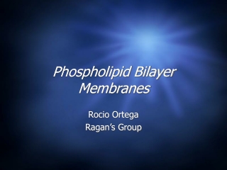 Phospholipid Bilayer Membranes