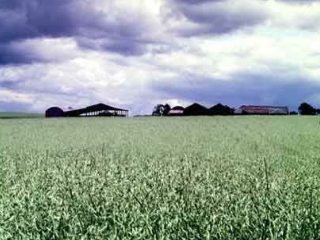 An exploration of the relationship between productivity and diversity in British Grasslands