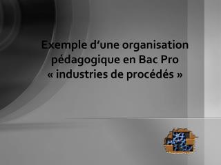Exemple d’une organisation pédagogique en Bac Pro « industries de procédés »