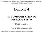 Livello semplice