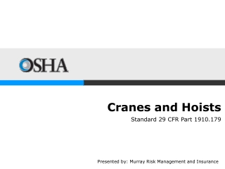 Cranes and Hoists