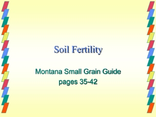 Soil Fertility