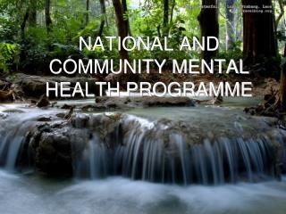 NATIONAL AND COMMUNITY MENTAL HEALTH PROGRAMME