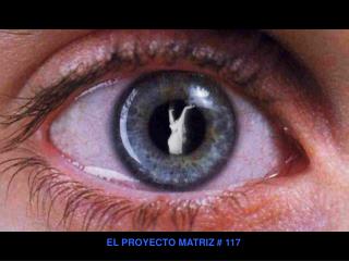 EL PROYECTO MATRIZ # 117
