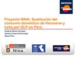 Proyecto NINA: Sustituci n del consumo dom stico de Kerosene y Le a por GLP en Per