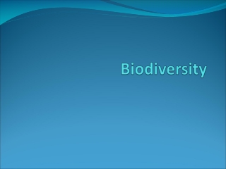 PPT - Biodiversity PowerPoint Presentation, Free Download - ID:9684753